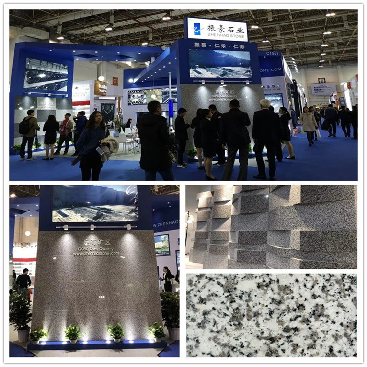 Bianco Sardo at xiamen fair booth Bianco Sardo at xiamen fair booth
