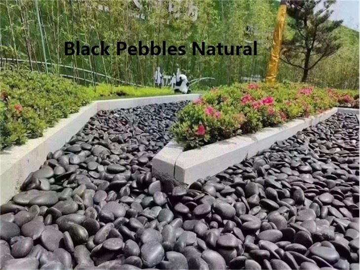 2. black pebbles