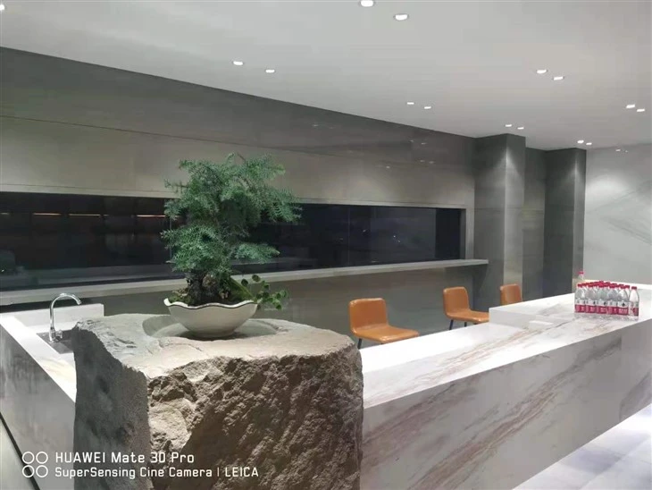 Gray Quartzite Countertops
