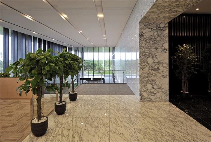 Arabescato marble for wall surround (1)