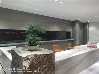 Gray Quartzite Countertops