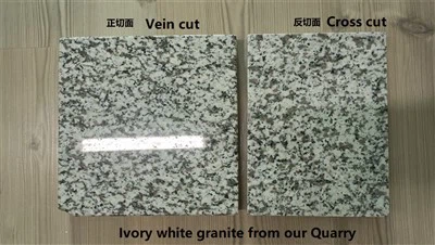 Light Grey White Granite Countertops