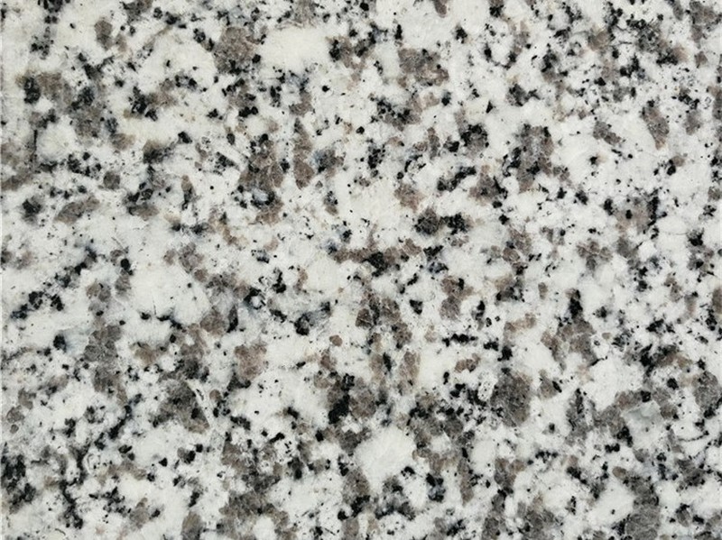 Bianco Sardo Granite Slabs Bianco Sardo Granite Slabs