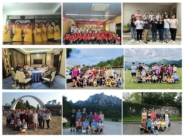 companys activity companys activity