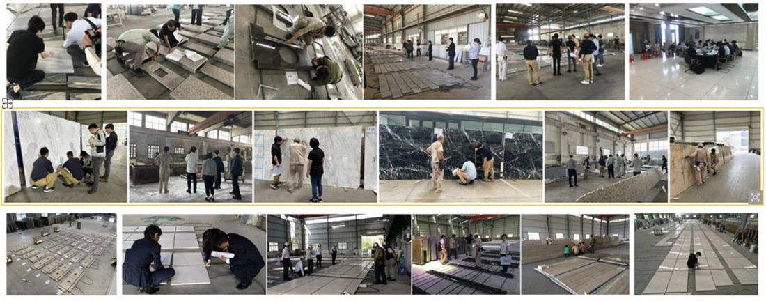 zhenhao team inspection zhenhao team inspection