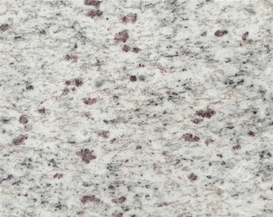 Indian white galaxy Indian white galaxy