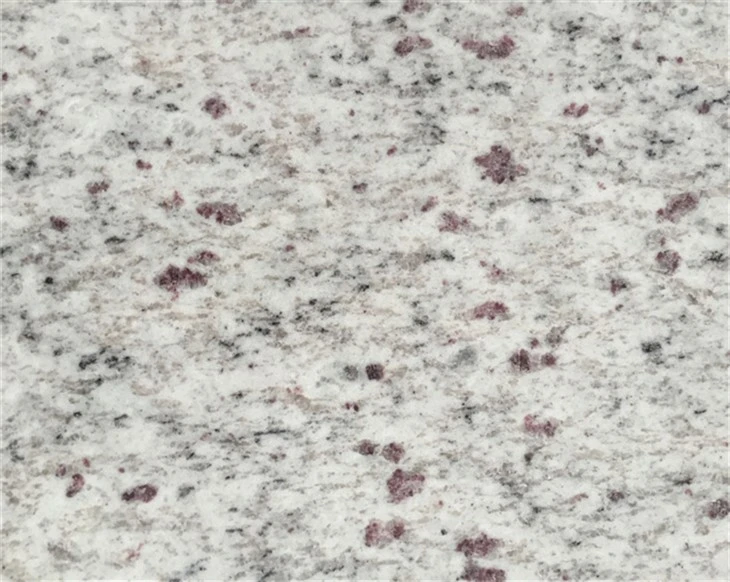 White Galaxy Granite Stair Treads